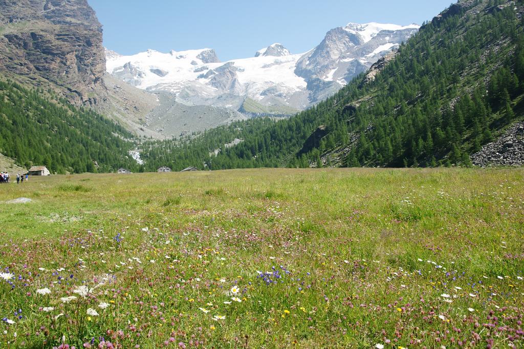 Hotel Le Petit Abri Champoluc Luaran gambar