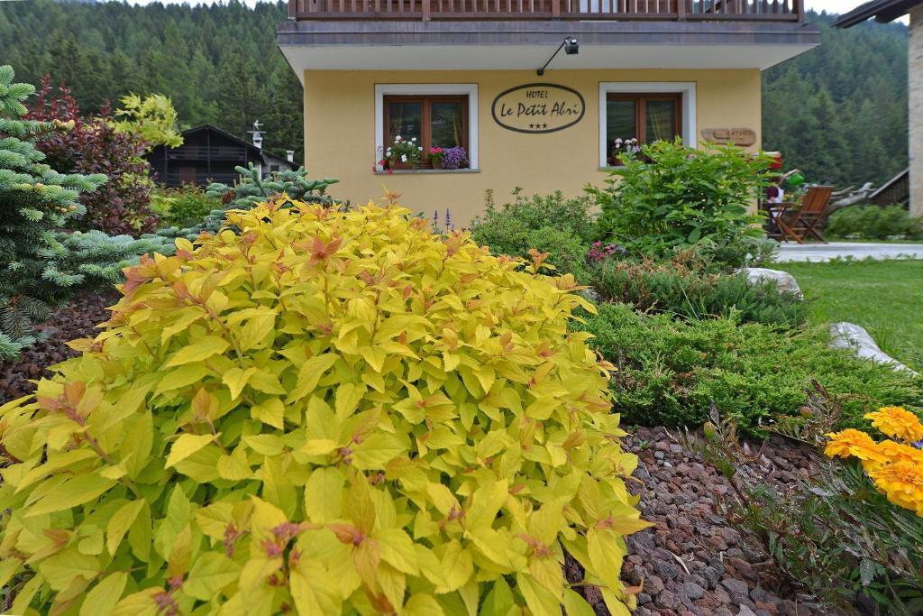 Hotel Le Petit Abri Champoluc Luaran gambar